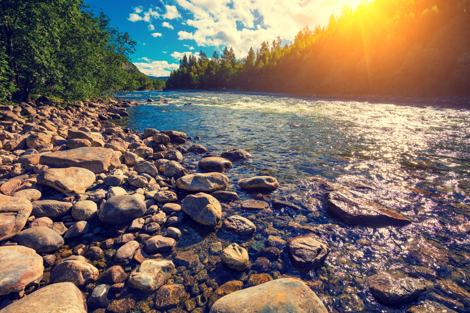 Entdecken Sie den Nervenkitzel beim Camping und Wandern in Deutschlands schönsten Naturlandschaften