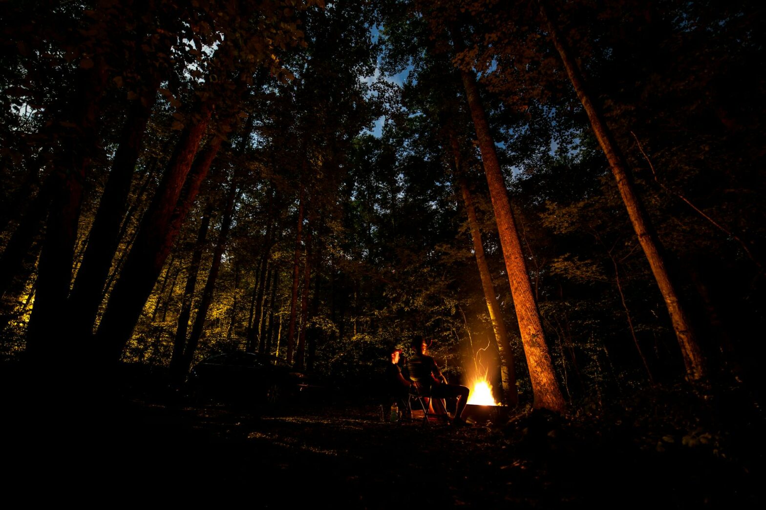 Camping auf Rügen: Naturerlebnis und Freiheit unter freiem Himmel