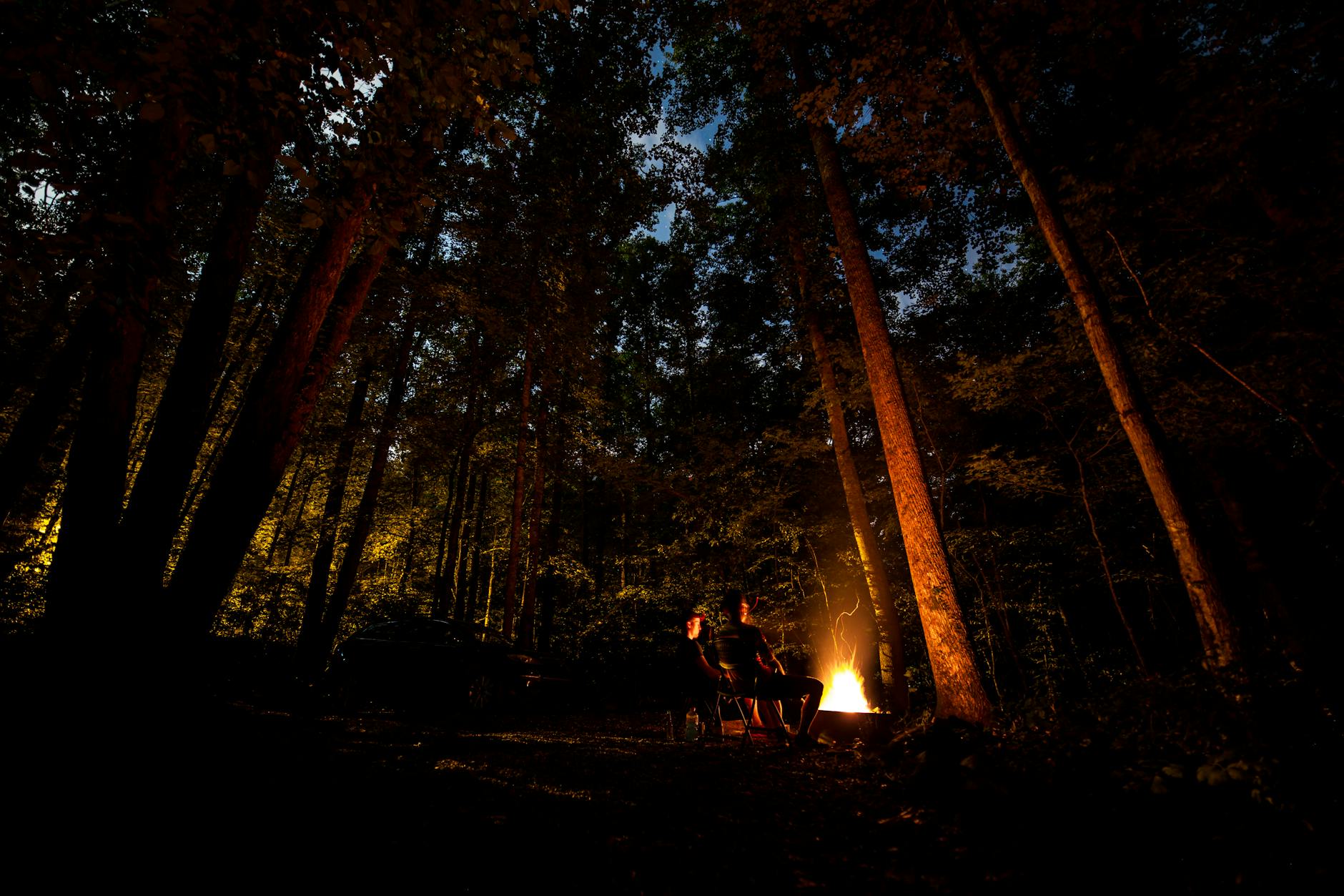 Foto Von Leuten, Die Im Wald Campen