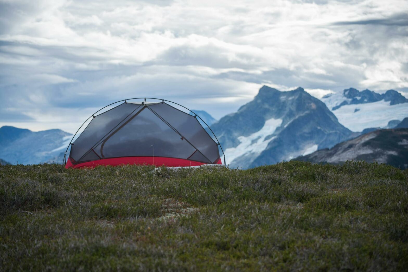 Die Campingkultur im Schwarzwald: Eine Reise durch Natur und Geschichte